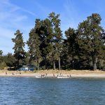 coastal rowing NZ, Nelson Rowing Club