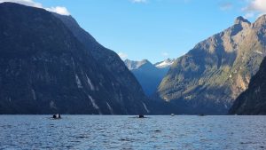 south Island rowing, nz rowing, masters rowing,